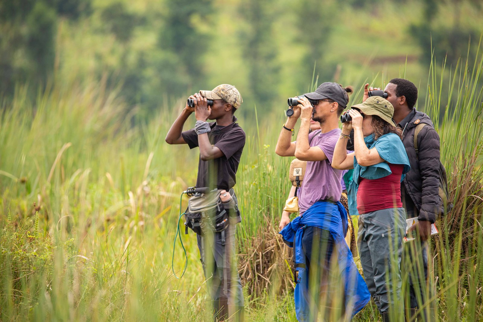Virunga Landscape & Lakes Journey