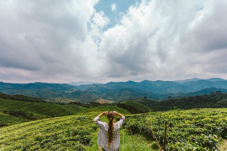  3-Day Eco-Spiritual Wellness Retreat in Gishwati