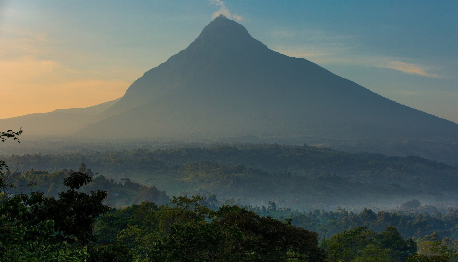 1-Day Gorilla Trekking Experience in Virunga National Park 