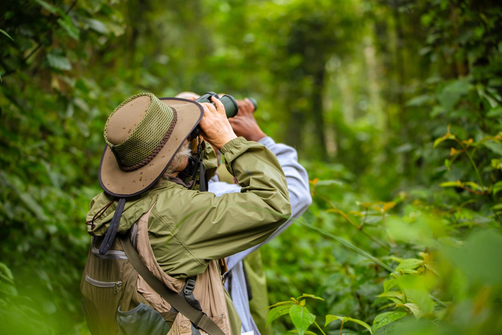 The Virunga Scenic Horizon & Volcano Lens Journey
