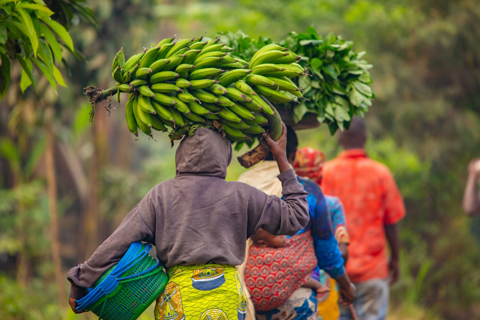The Living Rhythm of Virunga Communities Walk
